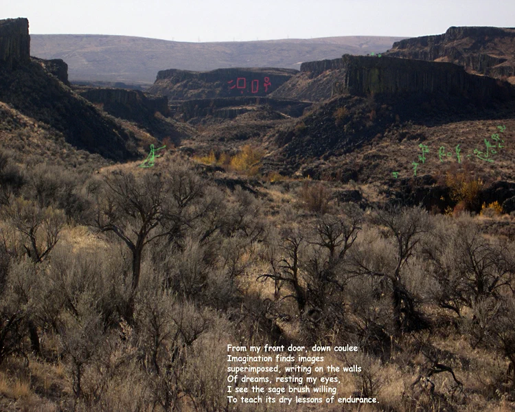 Down Coulee
